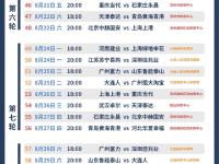 申花不敌天津泰达，暂时排名第十一
